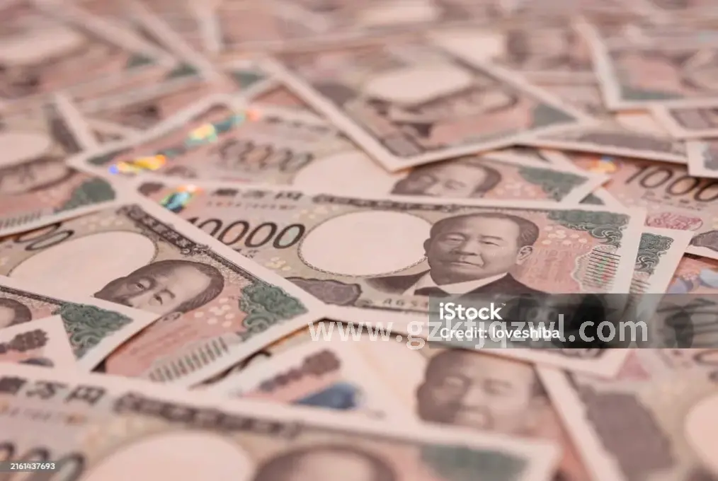 还款指南
