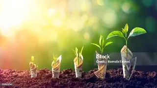 广州借款用户经验分享：他们的成功秘诀和避坑指南！