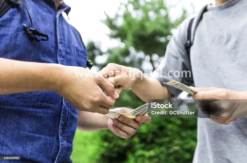 还款指南