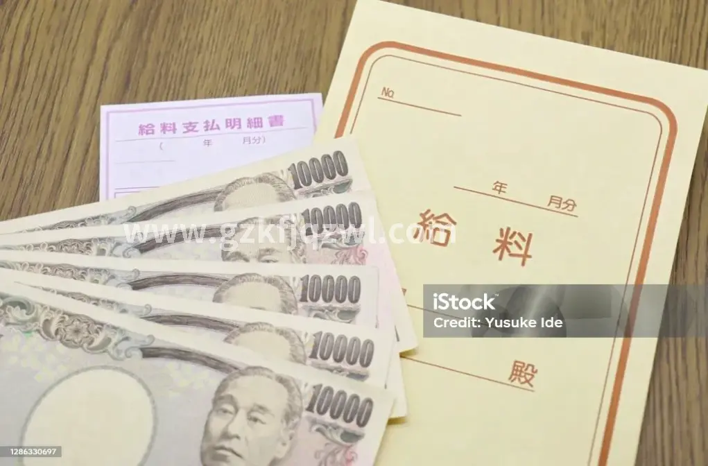 还款指南