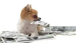 金融小白必看！一文搞懂广州贷款那些事儿，再也不怕被忽悠！