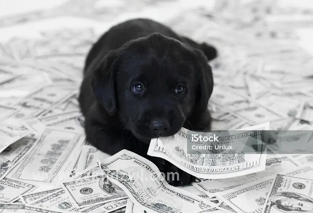 贷款置换节省利息