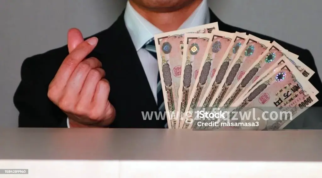 资金规划示意图